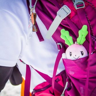 やいちんエリザベス