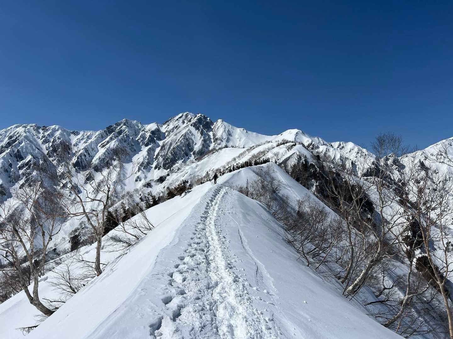 地蔵の頭-二ノ背髪-小遠見山-五竜登山口-中遠見山-大遠見 縦走コースの写真