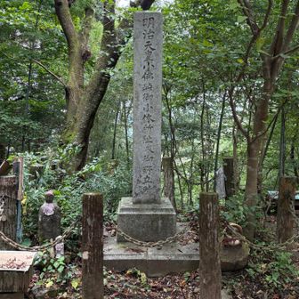 小仏峠にて。以前は甲州街道の要衝で明治天皇も山梨巡幸の際にここで休憩されたそうです。
甲州街道歩きも面白そうですね🧐