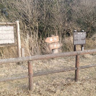 湖尻峠からは、箱根スカイライン脇を歩くのではなく、下山用の道が用意されていました。
