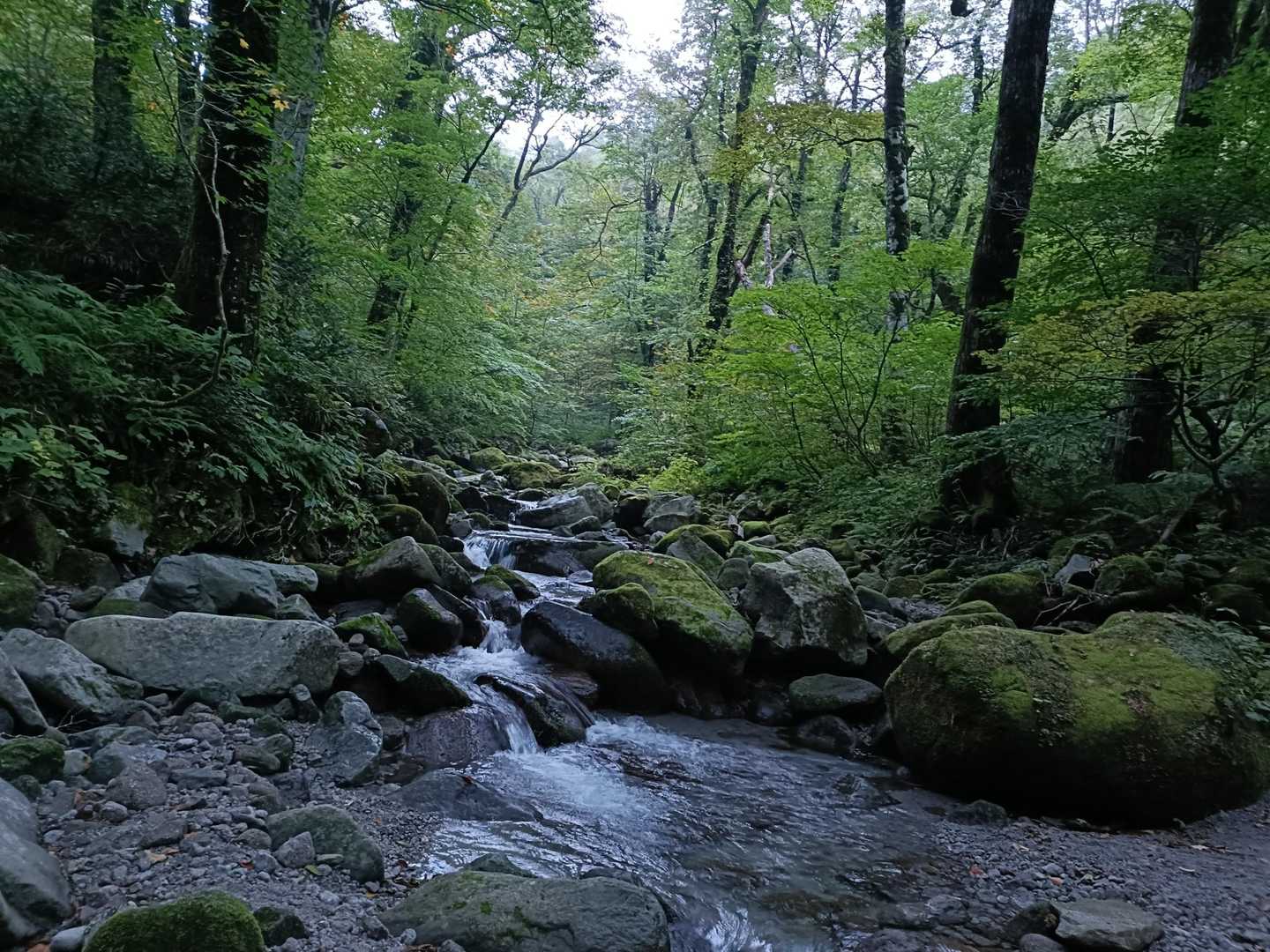甲ヶ山-矢筈ヶ山-大休峠 周回コースの写真