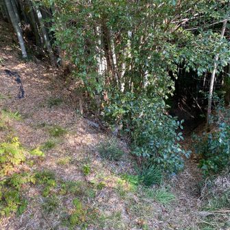 以前、ロストした悪夢の場所
左側が正しいコース
右側の降りてしまうとロストします⚠️