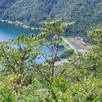ここから見える下の道は、数年前に自転車でビワイチやった時に通りました。