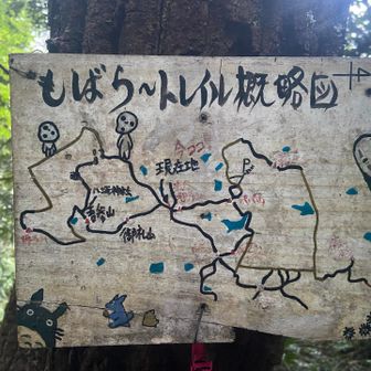 茂原トレイル