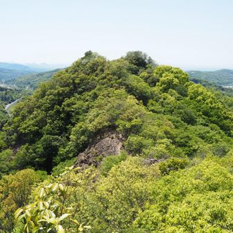 無理せずここで引き返す