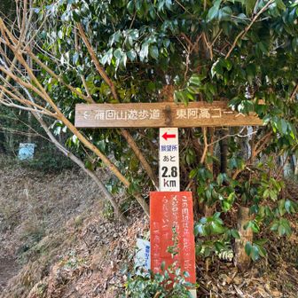 いきなり悩ましい
これは左かな？？