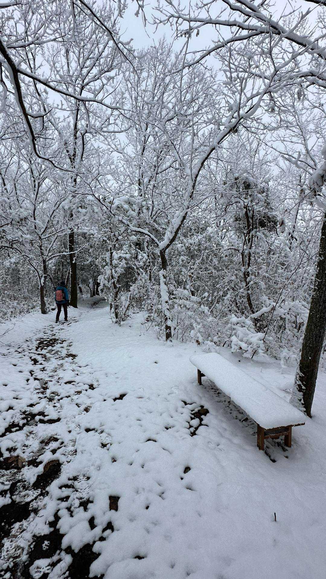 伊木山 往復コースの写真