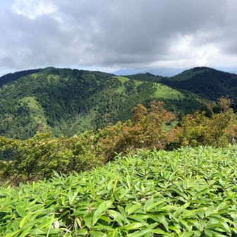 最後は朝のガスが嘘のように晴れて気持ちのいいゴール〜