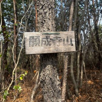 がんじょうじやまって読むらしい、
美味しいごはんが食べれますように🐹