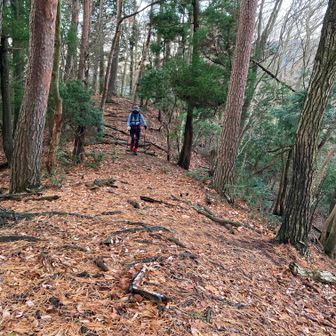 落ち葉の尾根