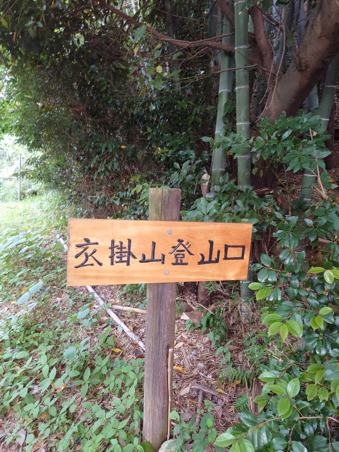 衣掛山登山口-衣掛山 往復コースの写真