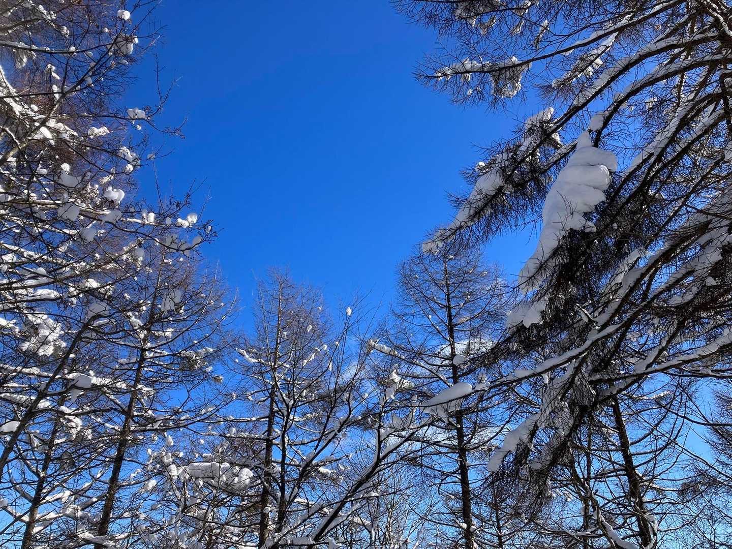 三和峠-風越-聖峠-聖山 往復コースの写真
