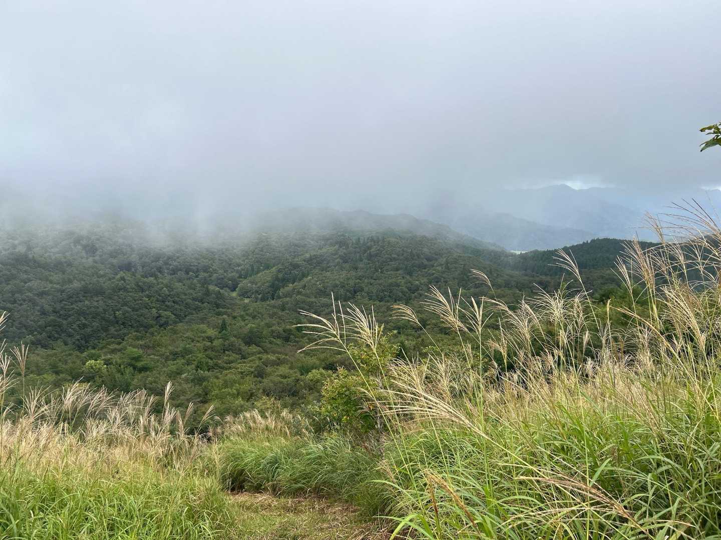 人形仙登山口-人形仙母子地蔵-人形仙 周回コースの写真