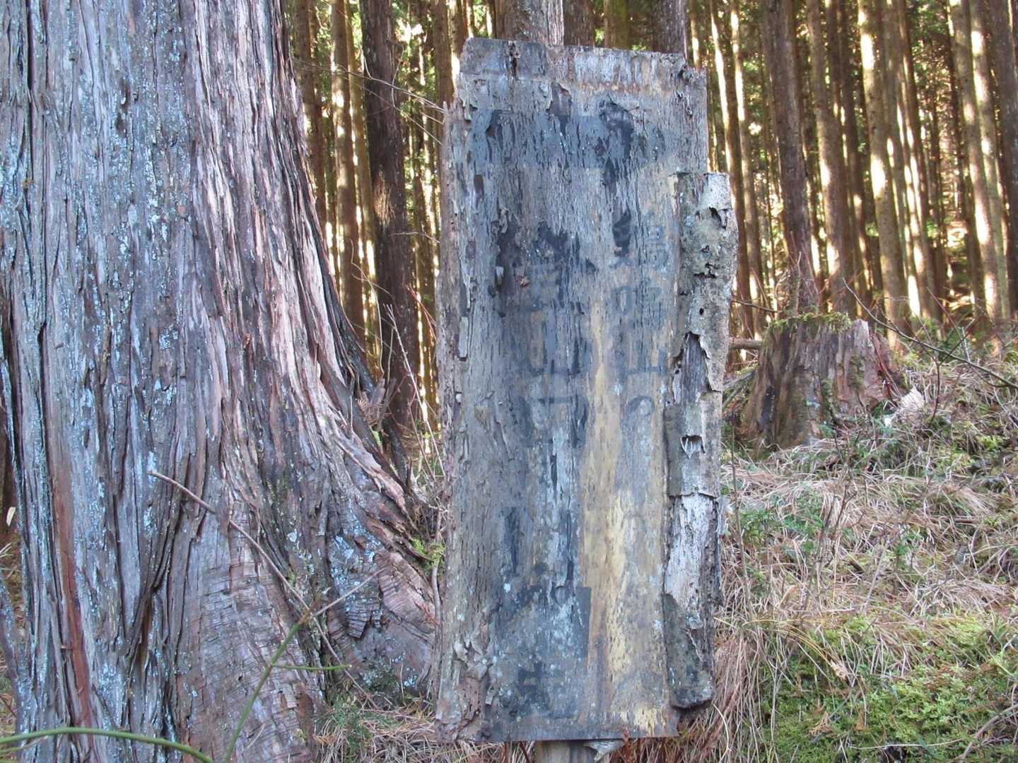 登山口表示
