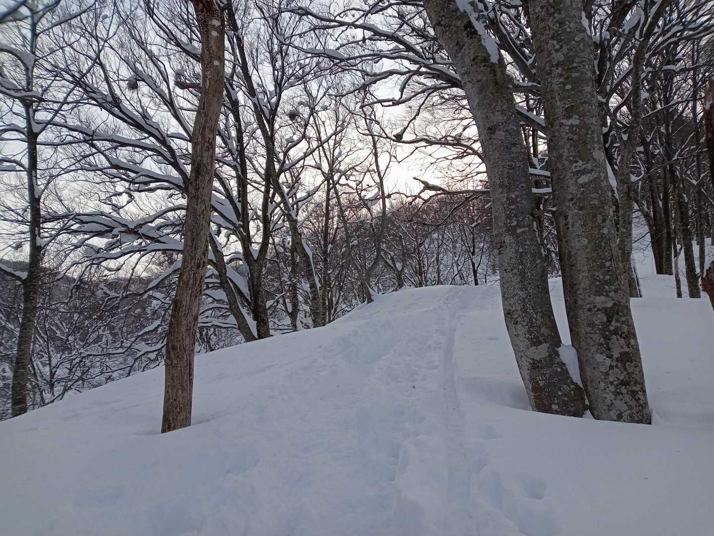 この辺りから少しまた緩やかになってきます。
