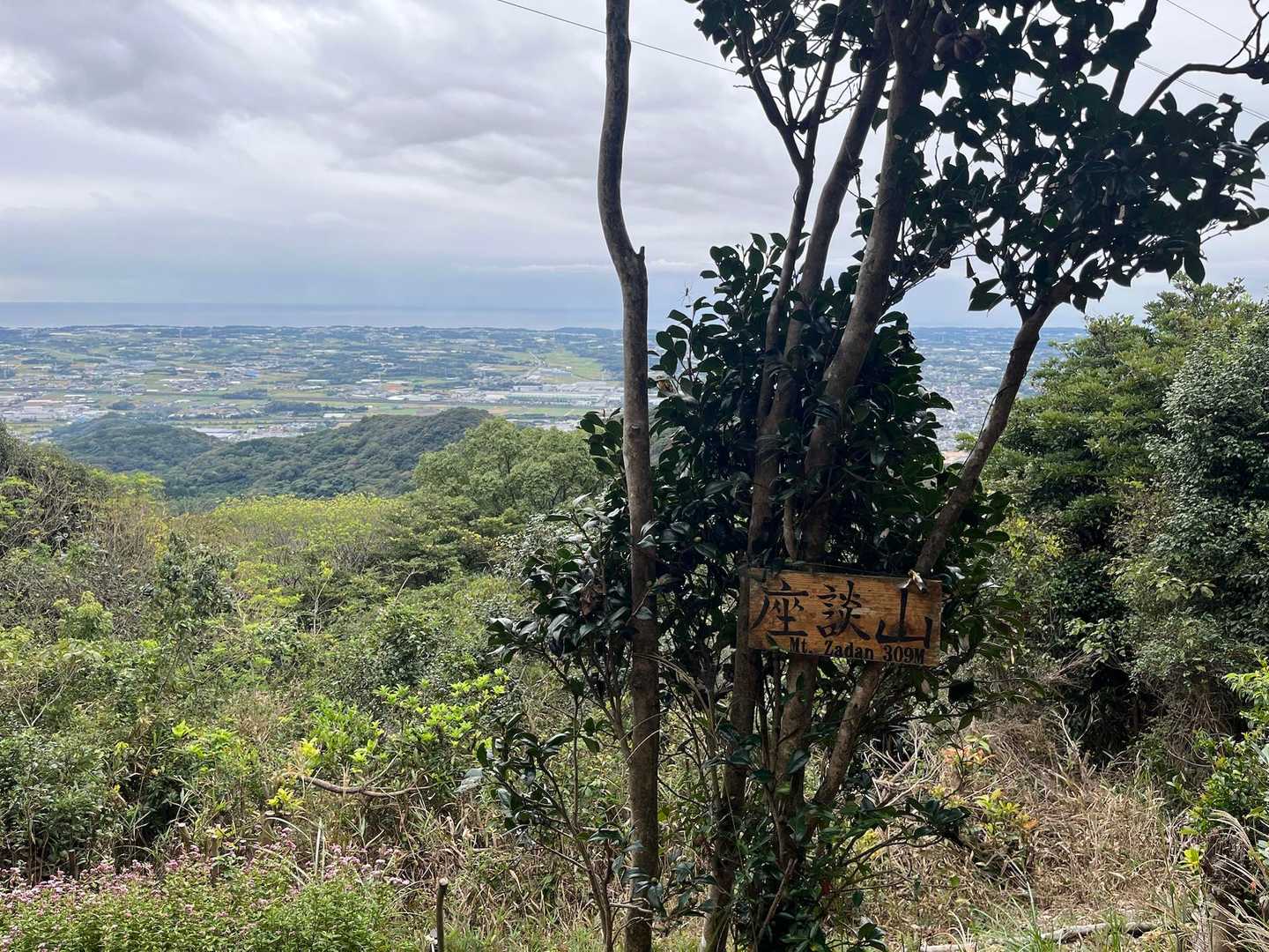 座談山に登頂🎉
✳︎例の分岐から1分もかからず😭