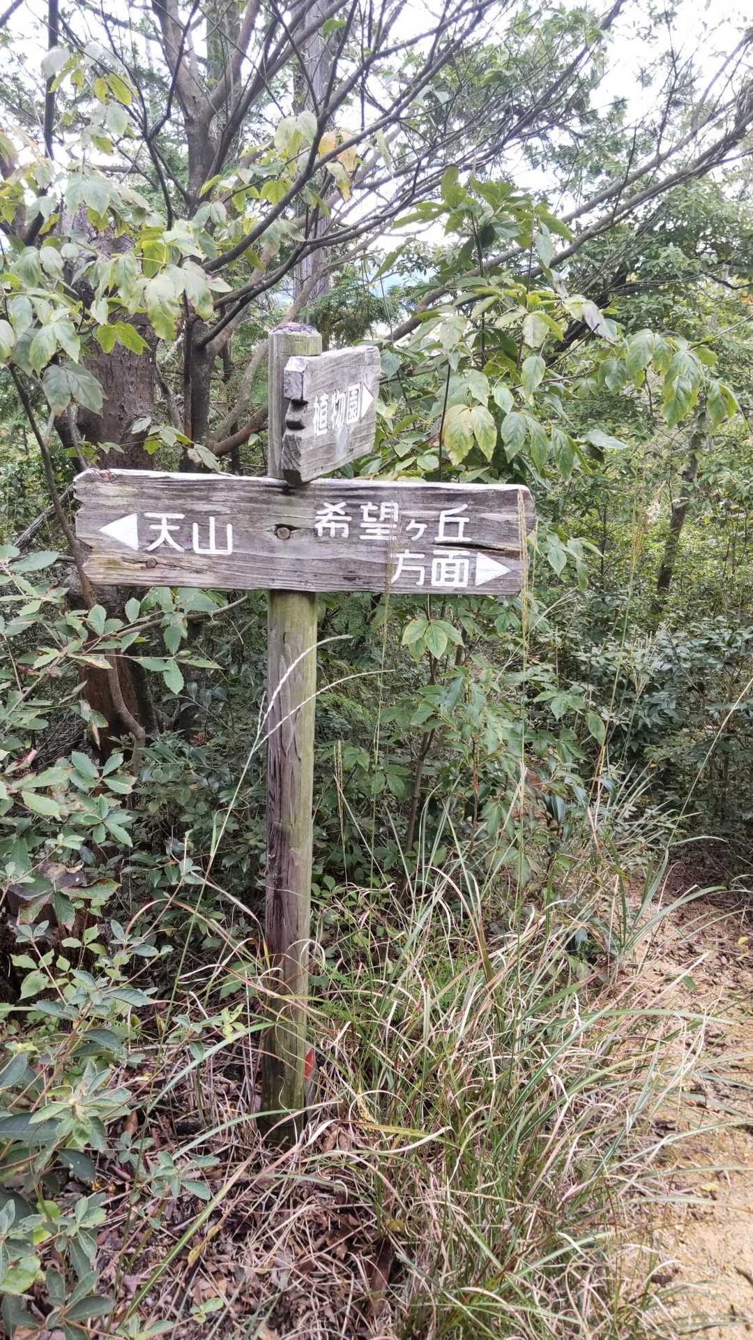 看板あるので迷いません🙆
お読み頂きありがとうございました🙇
