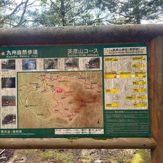 行きます‼️😊