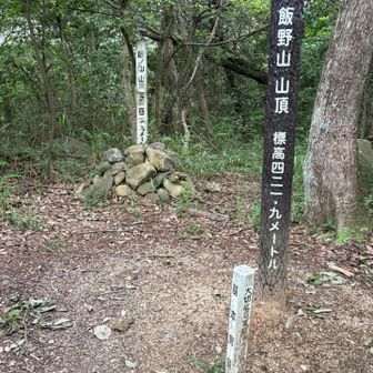 飯野山422m山頂表示と三角点です