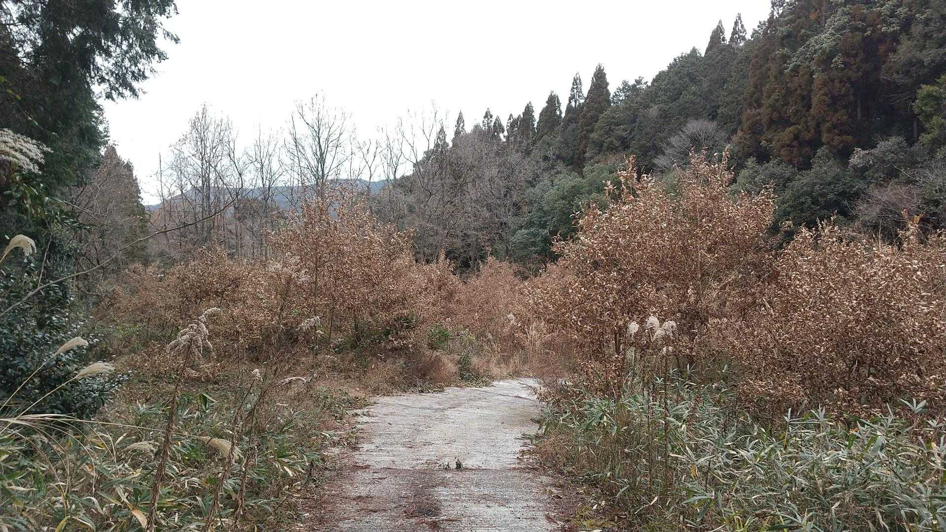 …無事に下山!
お疲れ山です😆
