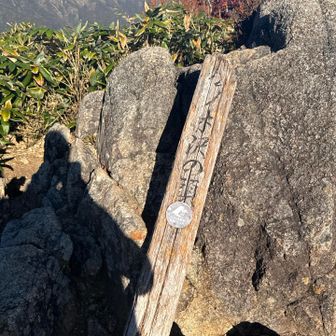 松ノ木沢の頭山頂