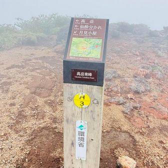 山頂標識はこれでした。