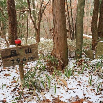前来た時、月山の看板撮ってなかったみたい笑