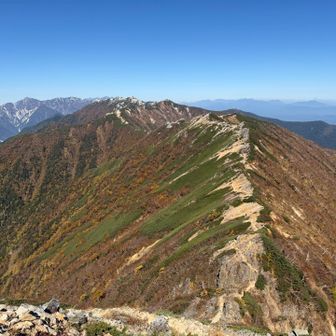 歩いてきた稜線
山体はすっかり秋の色合いです