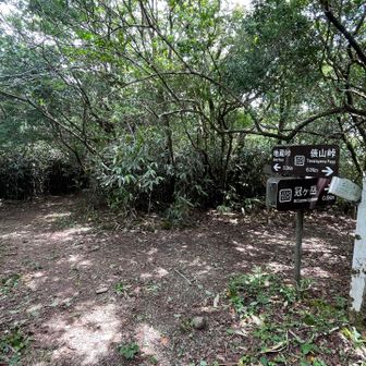 冠ヶ岳の分岐に到着！
今回の山行、どうも弱気で冠ヶ岳へは行く気になれませんでした😅