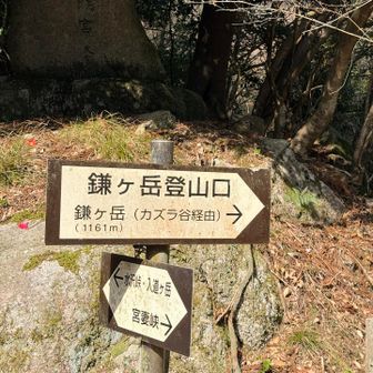 おはようございます😊
どんな山行になるか楽しみ！
