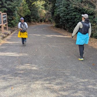 いっぱい遊んだんで
下山しま〜す💨🚶