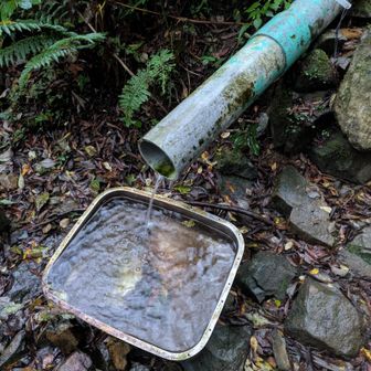 小屋近くのたぬき水