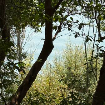 波打ち際が美しい