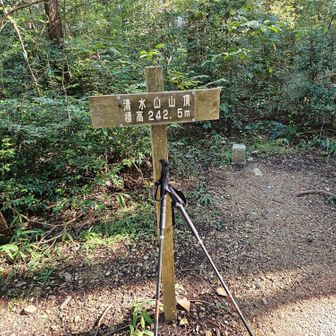 清水山頂上
展望なし