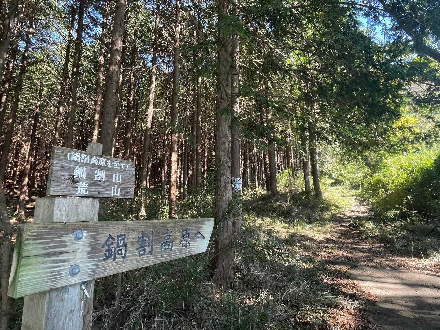 遅めの到着で登山口付近は路駐でいっぱい😱でも少し離れた駐車場は空いてたので無事駐車してSTART⸒⸒⸜( ˶'ᵕ'˶)⸝