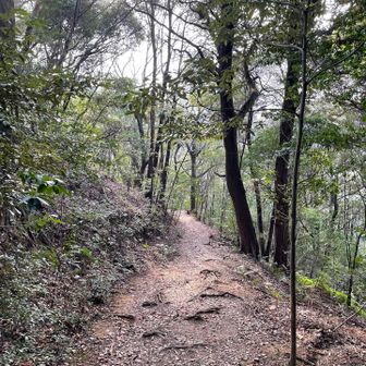 大社を目指す→
一つでも多く山頂を踏む→
山頂標識を撮る！に目標が変わります
標識探し楽しい😂