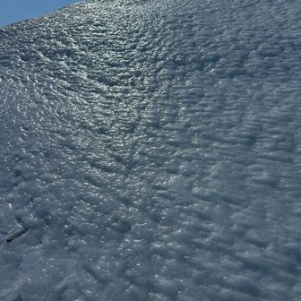 ガチガチに凍ってました。