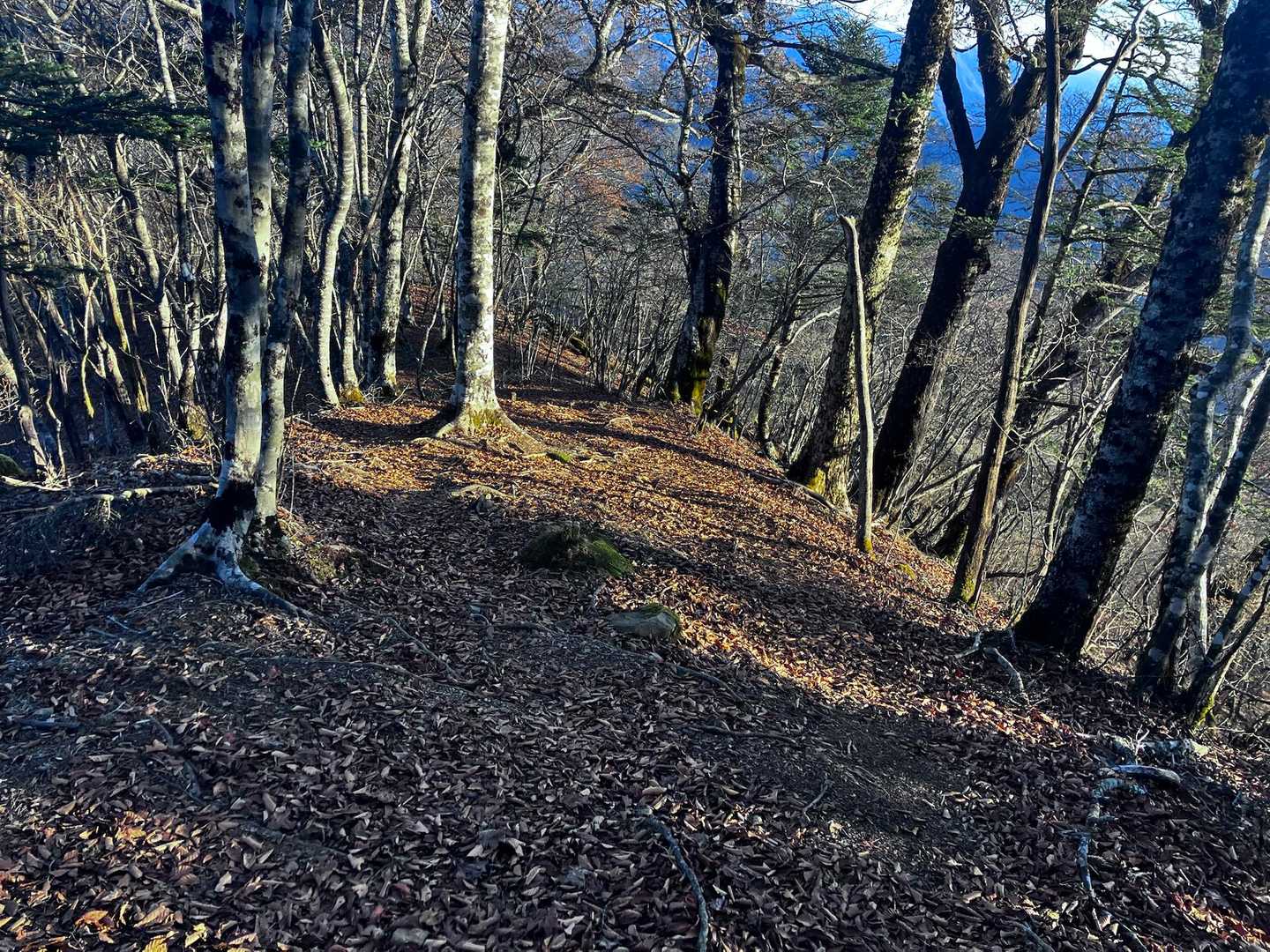 黒岳から釈迦ヶ岳に向かう道はあまりピンテがない。落ち葉も多いのでゲイター付けた方が良いです。