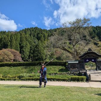 一乗谷 朝倉遺跡に触れ、さぞや親しみが湧いたのか？と尋ねると、
「んーー、朝倉と言えばやっぱり南ちゃんやな…」

昭和生まれの足軽夫はそう思うのでした