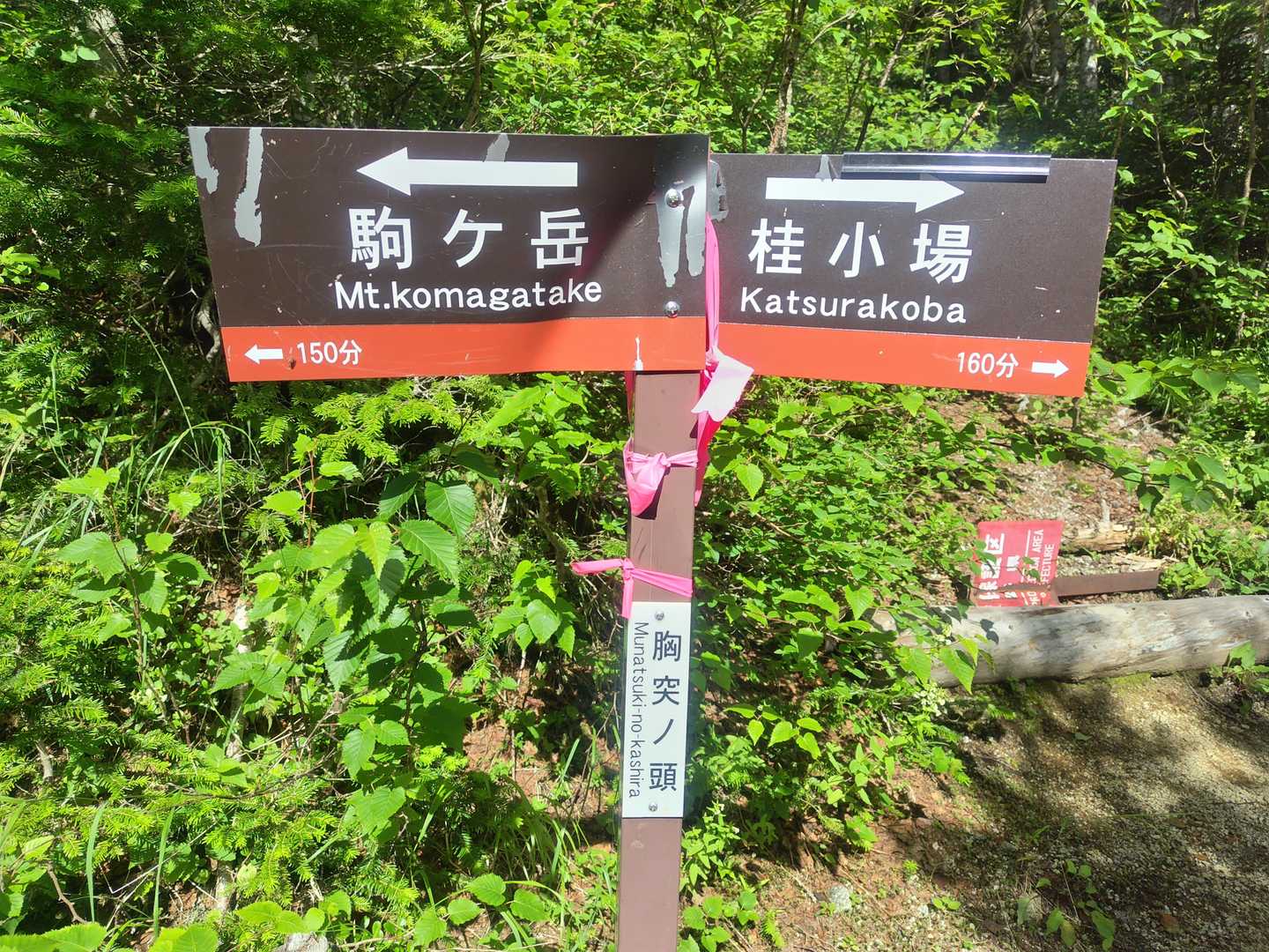 胸突ノ頭に到着😊
ここまで来れば稜線はもうすぐそこ😆✨