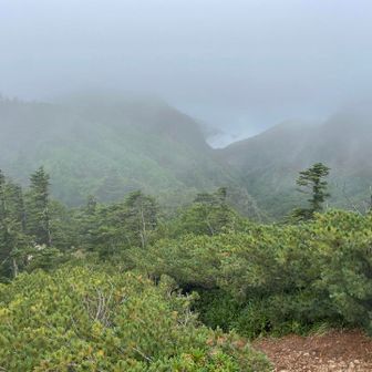 この辺りから雨が降り始め木々に着いた水滴でびしょぬれになりながら歩きました☔️