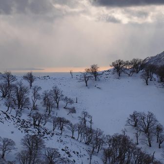 伊勢湾がオレンジ色
