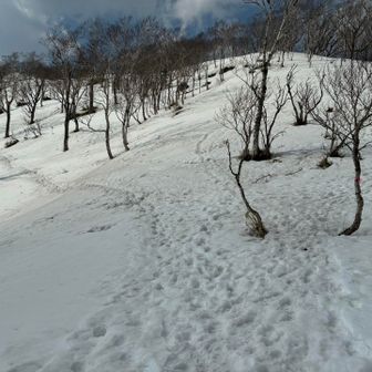夏道と幌平山分岐
疲れると夏道トラバースしたくなりますが、念のため雪崩警戒で登り返します