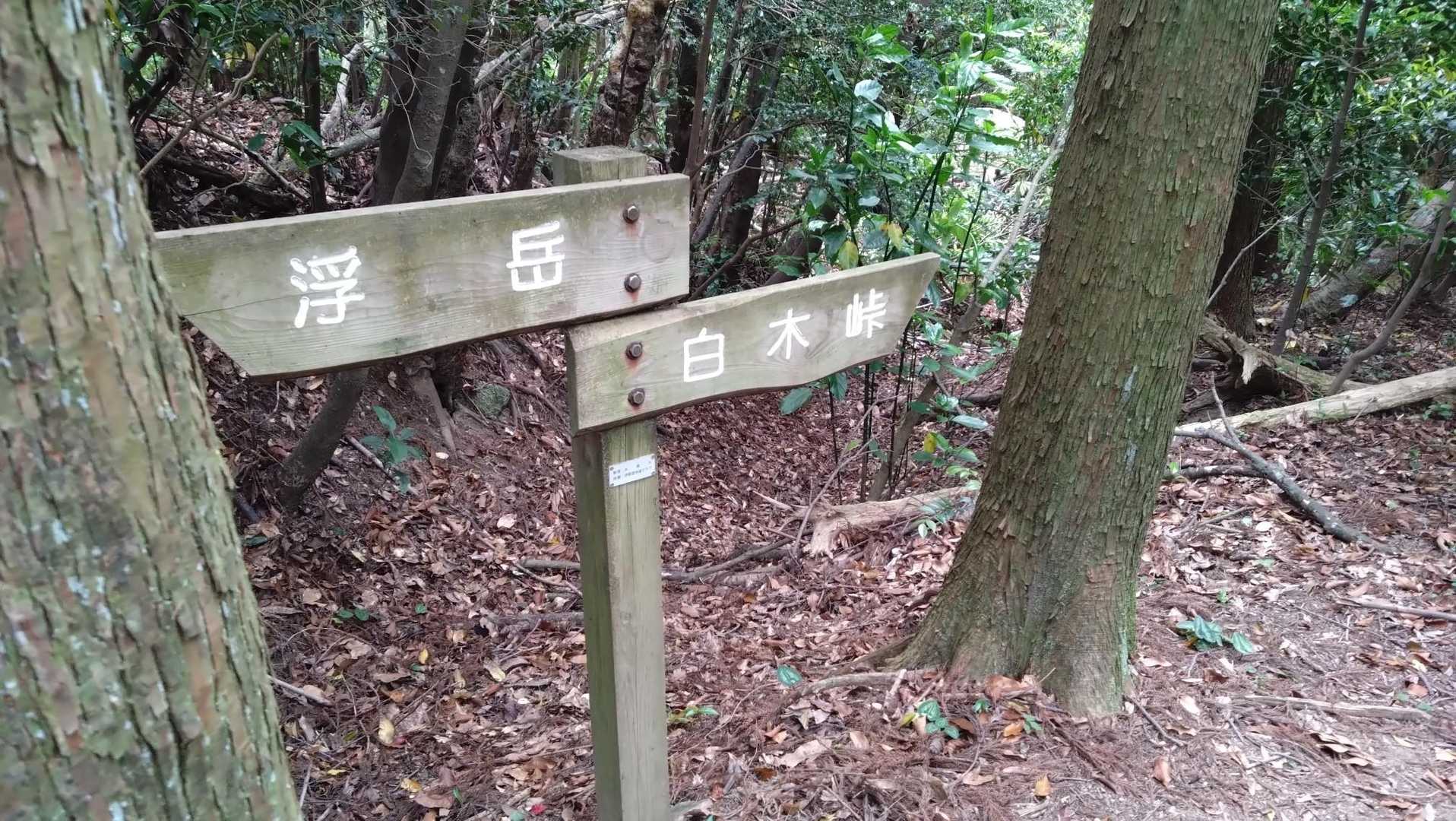分岐