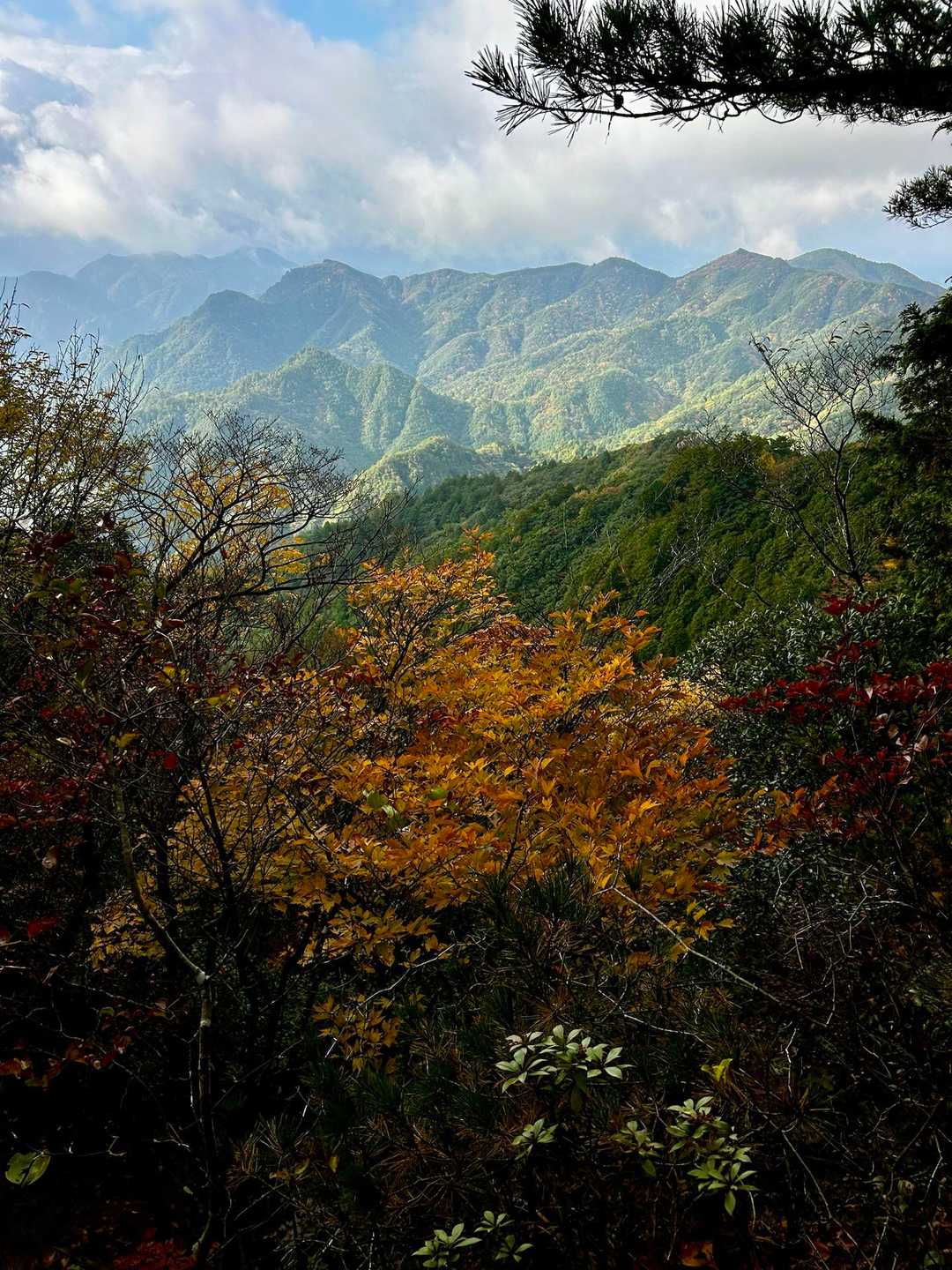 仙ヶ岳 往復コースの写真