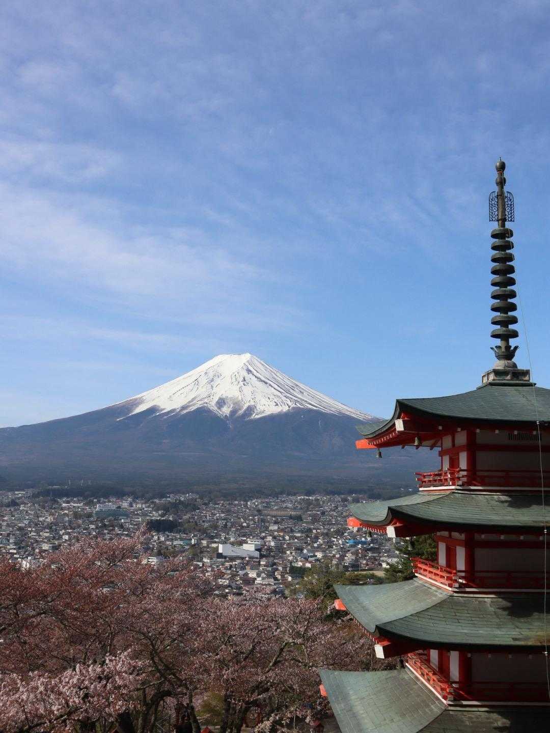 これこれ〜
これが見たかったのです😍🫶

『富士山』と『五重塔』
THE NIPPON🗻
という感じですね✨

公園内には
約650本の桜が
植えられているそうですよ🌸
満開の時は綺麗でしょうね😍😍😍

今日の目的1つ達成しました🙌