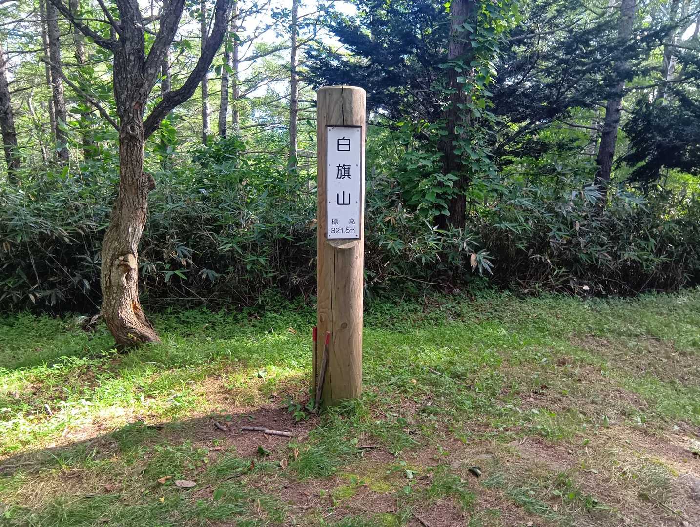 山頂。
休むとアブに刺されます。