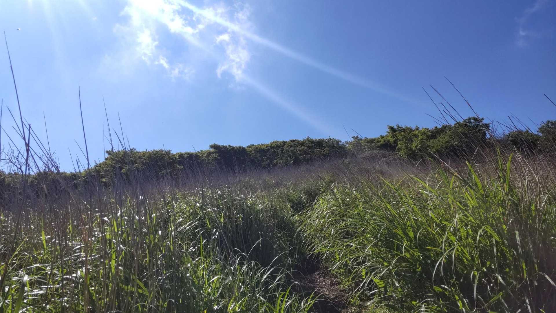 樹林帯を抜けました☀️