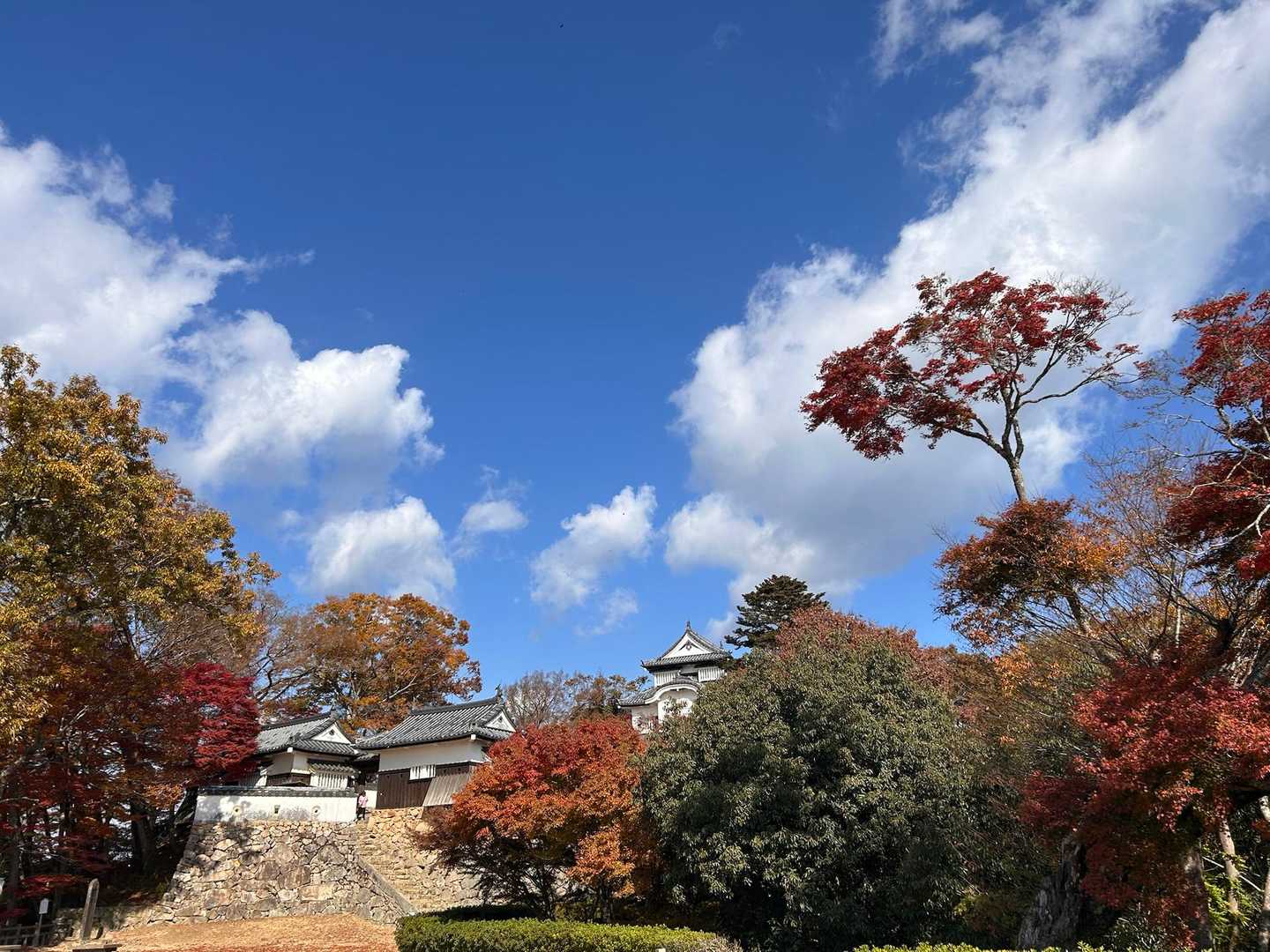 お城🏯