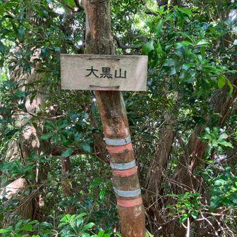本日4座目　大黒山山頂